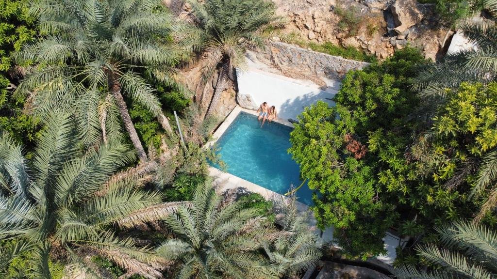 Day 07 : Wadi Tiwi & White Beach - Hidden Valleys & Relaxation